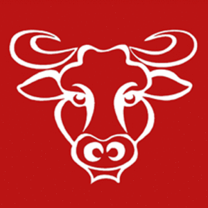 Alberta Rider PSO Bulls Logo